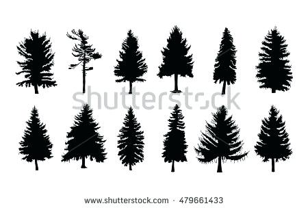 450x304 Cypress Tree Silhouette Vector Set Silhouette Of Different Pine