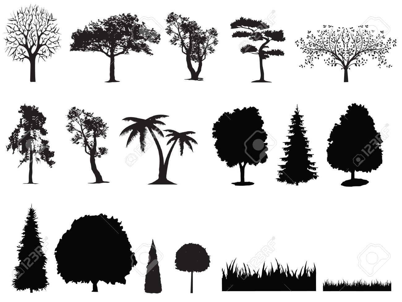 1300x977 Cypress Tree Clipart
