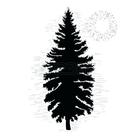 450x450 Pine Tree Clipart Cypress Tree