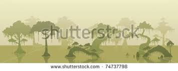 355x142 Cypress Tree Swamp Vector
