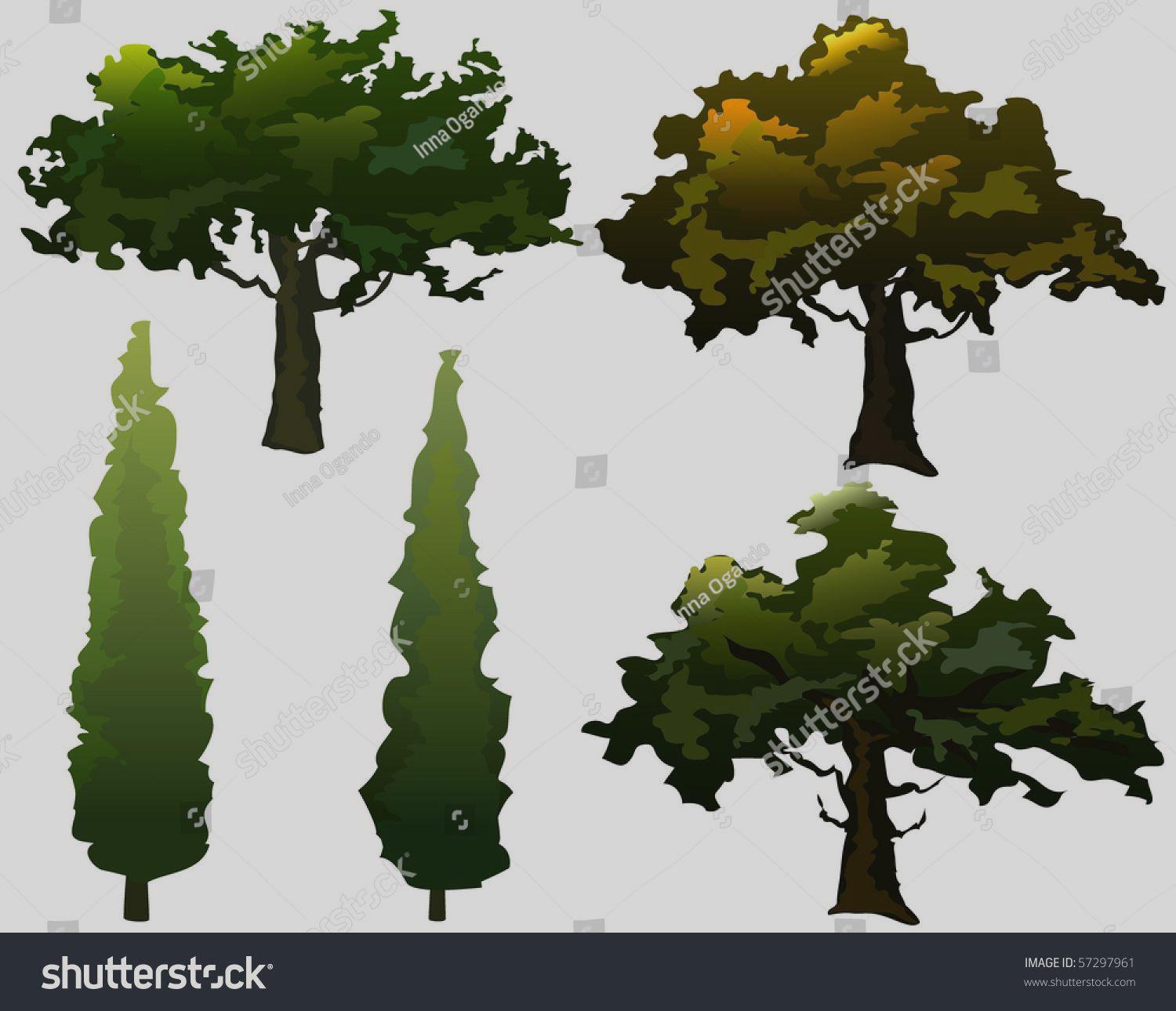 1500x1290 Collection Olive Trees Cypress Seasonal Colors Stock Vector