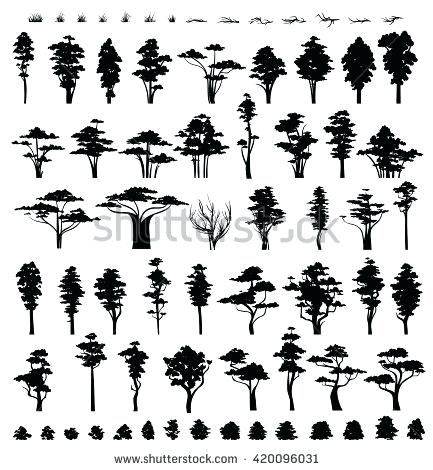 433x470 Cypress Tree Silhouette Forest Trees Collection Silhouette Vector