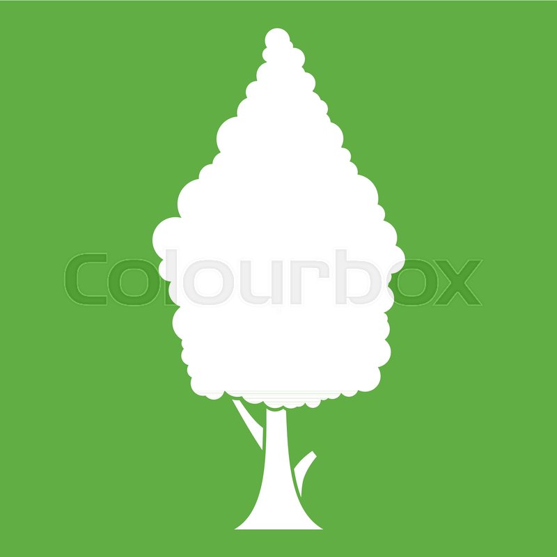 800x800 Cypress Icon White Isolated On Green Background. Vector