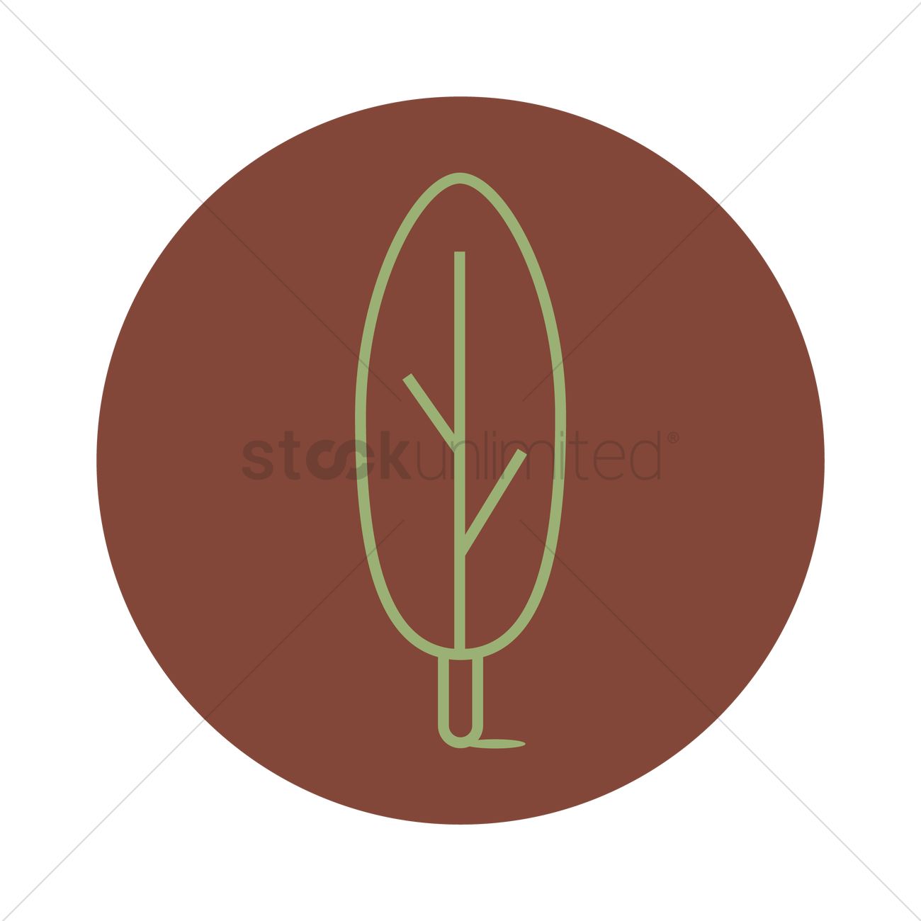 1300x1300 Cypress Tree Vector Image