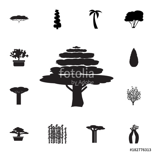 500x500 Cypress Tree Icon. Set Of Silhouette Of Tree Icons. Web Icons