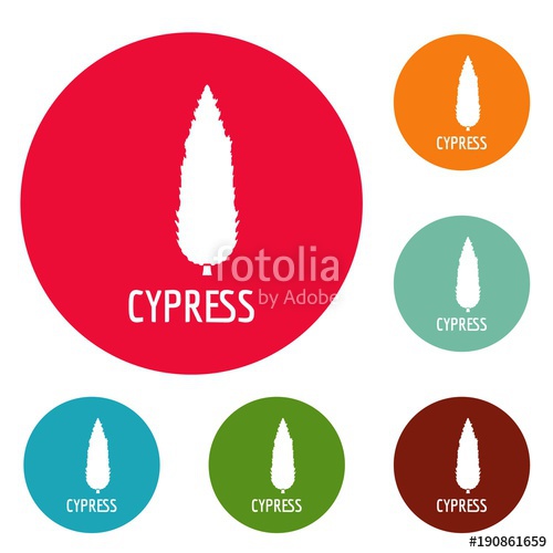 500x500 Cypress Tree Icons Circle Set Vector Isolated On White Background