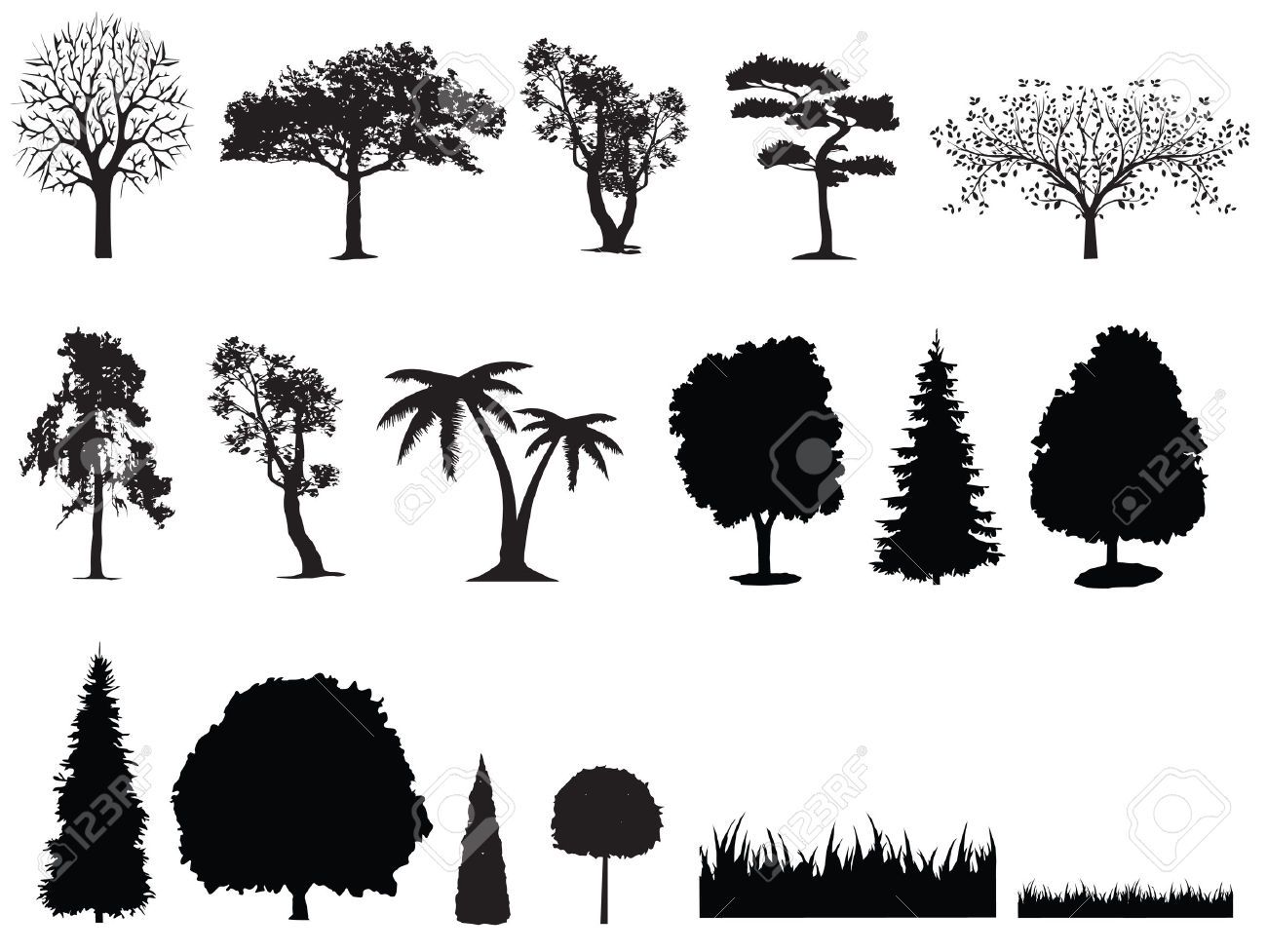 1300x977 Collection Of Free Cypresses Clipart Small Tree. Download On Ubisafe