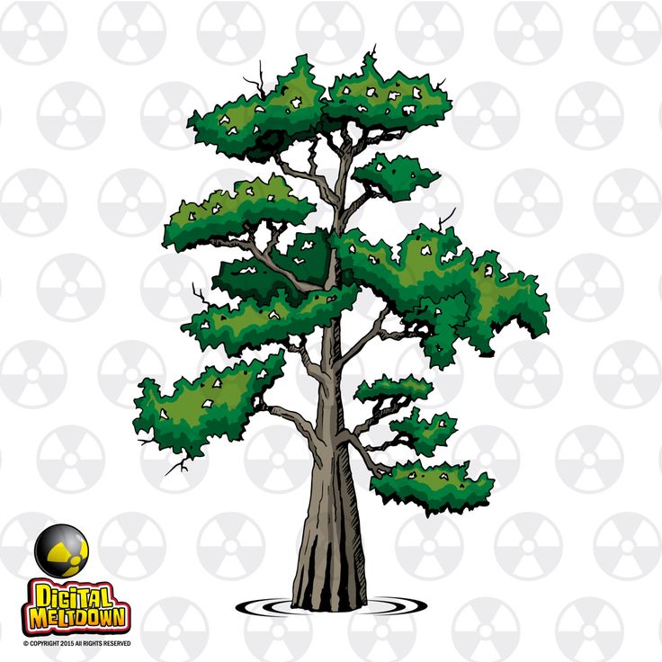 736x736 Collection Of Free Cypris Clipart Vector. Download On Ubisafe