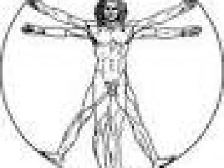 320x240 Da Vinci Man Vitruvian Vector Volantino Leroy Merlin Bologna