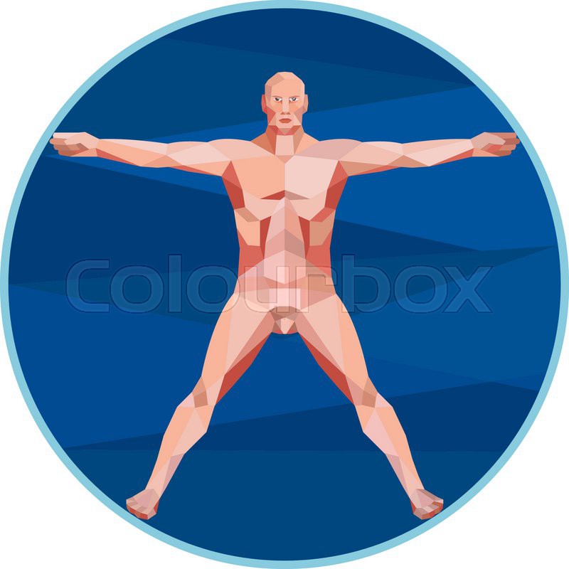800x800 Low Polygon Style Illustration On The Da Vinci Man Vitruvian Man