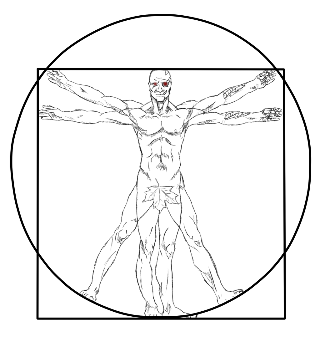 1024x1109 Pictures Of Vitruvian Man Vector Free Download