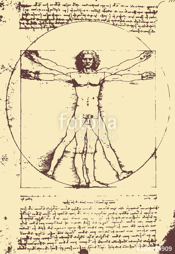 346x500 Vitruvian Man Illustration Leonardo Da Vinci [Vector] Stock