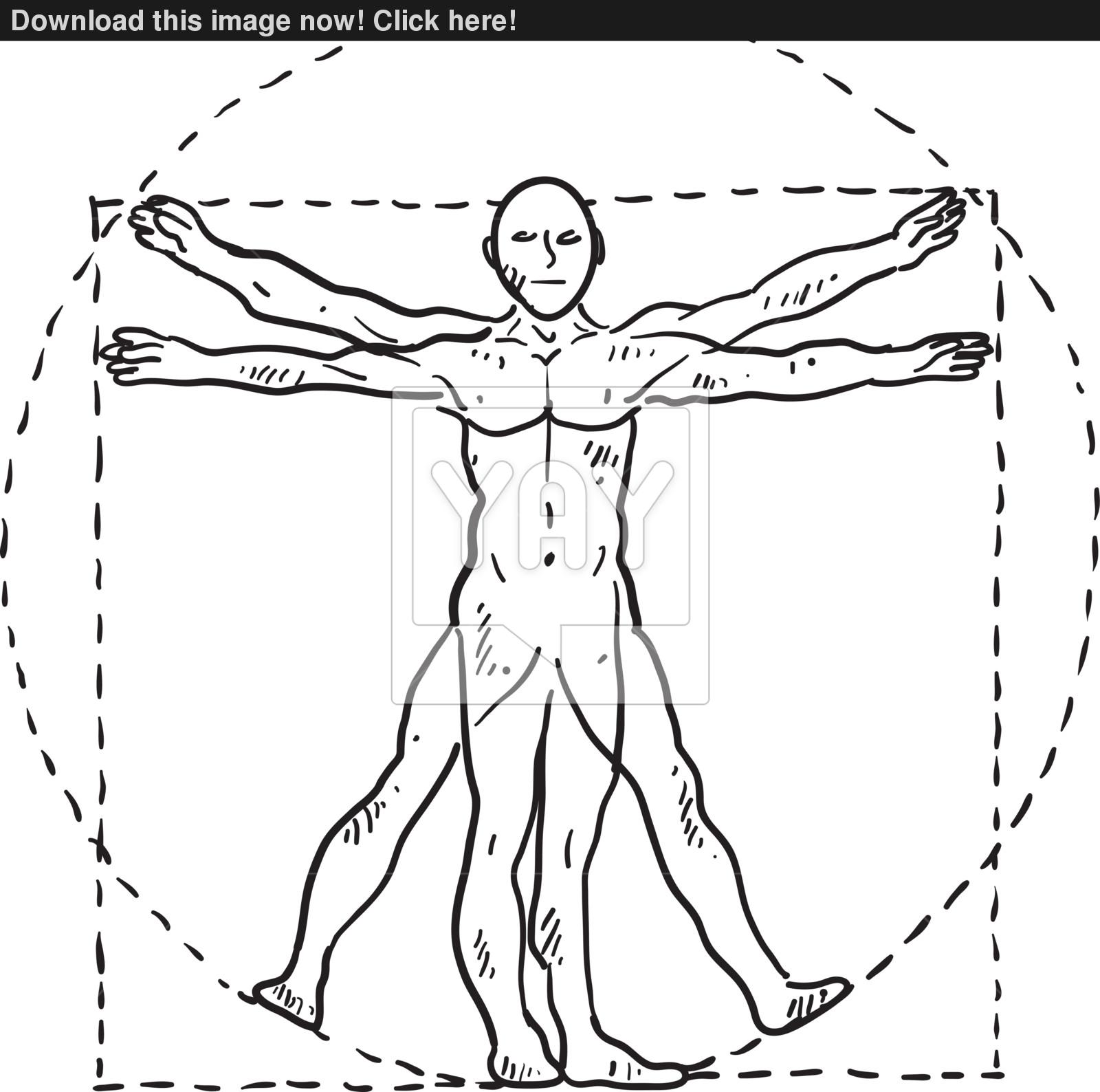 1600x1588 Da Vinci Man Vector Sketch Vector