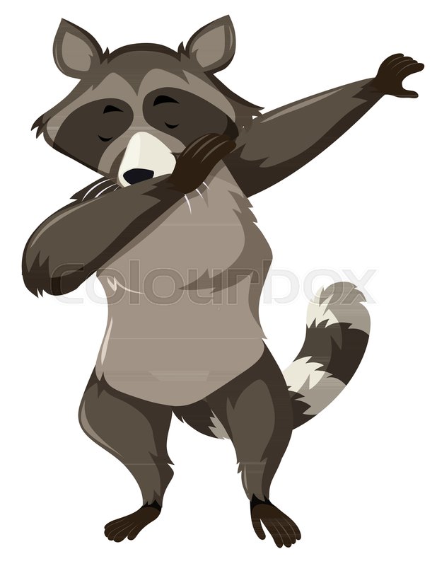 618x800 A Raccoon Dab On White Background Illustration Stock Vector