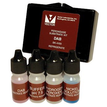 346x346 Vector Laboratories Sk 4100 Dab Substrate Kit, Brown, 300 Ml From