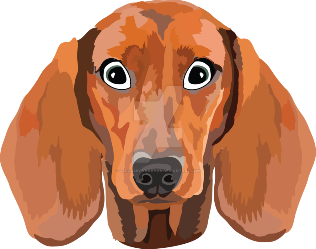1007x794 Dachshund Vector By Valouskovadanca
