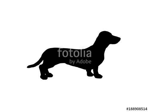 500x375 The Silhouette Of A Dachshund. Vector Illustration Stock Image