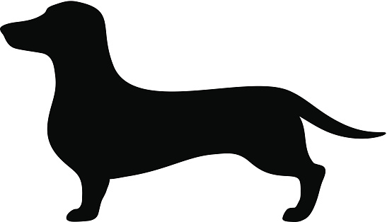 547x314 Dachshund Clipart Vector