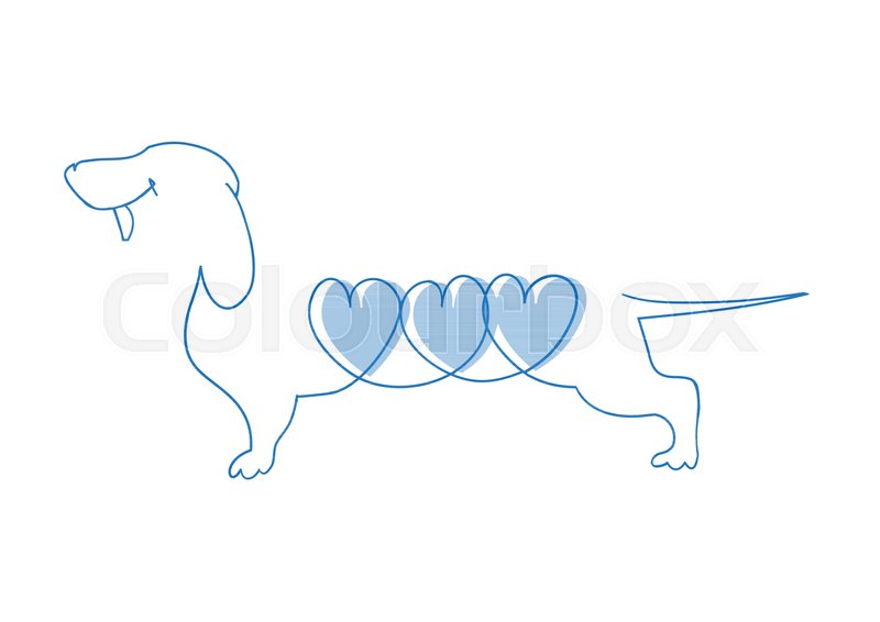 800x566 Dog With A Heart. Dachshund Vector Illustration. Stock Vector