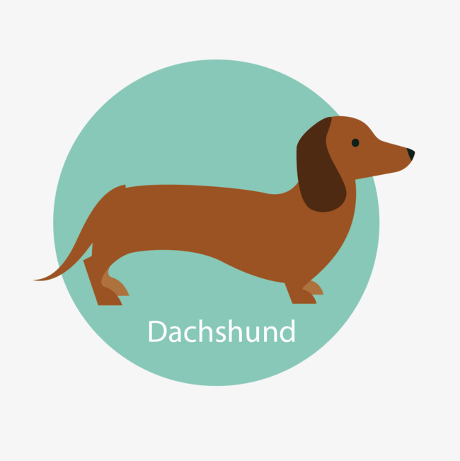 650x651 Free Dachshund