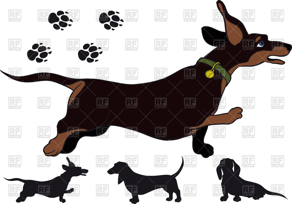 1200x840 Running Short Haired Dachshund