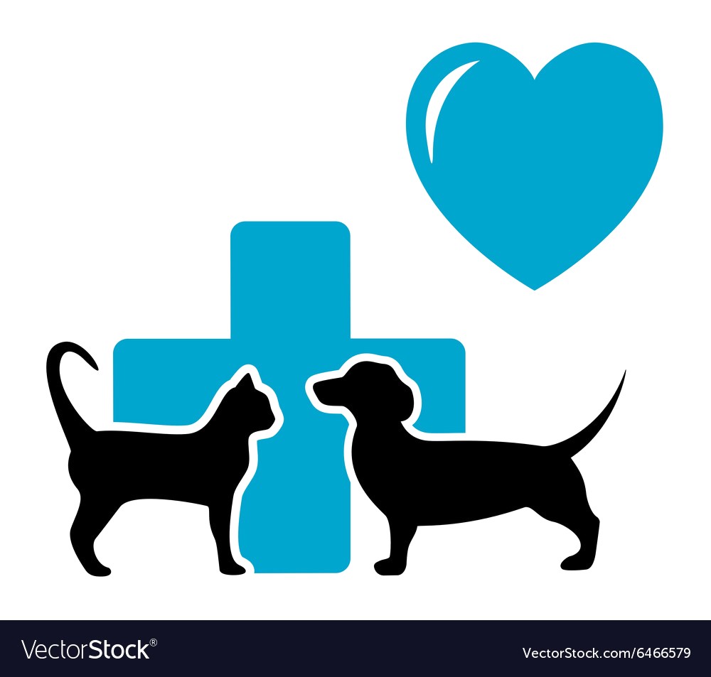 1000x953 Veterinarian Symbol With Cat And Dog Dachshund Vector 6466579 12