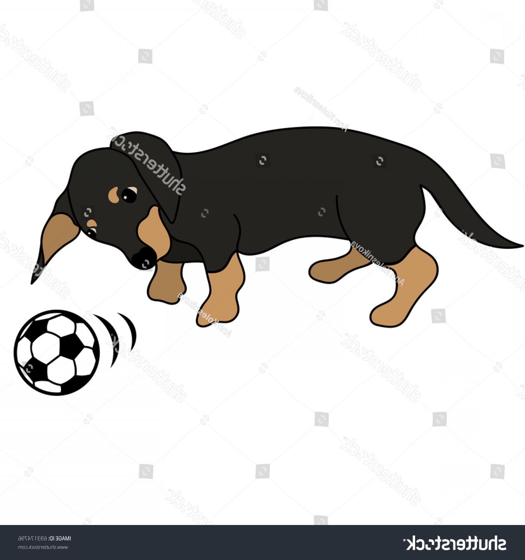 1800x1920 Dachshund Dog Breed Vector Image Minimal Shopatcloth