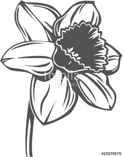 393x500 Daffodil Vinyl Ready Vector Illustration Stock Image And Royalty