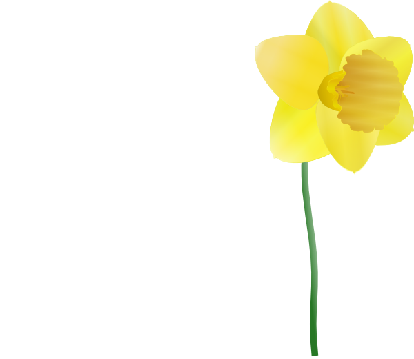 600x520 Daffodil Clip Art Free Vector 4vector