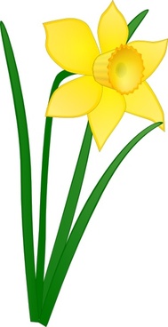 189x368 Daffodil Free Vector Download (17 Free Vector) For Commercial Use
