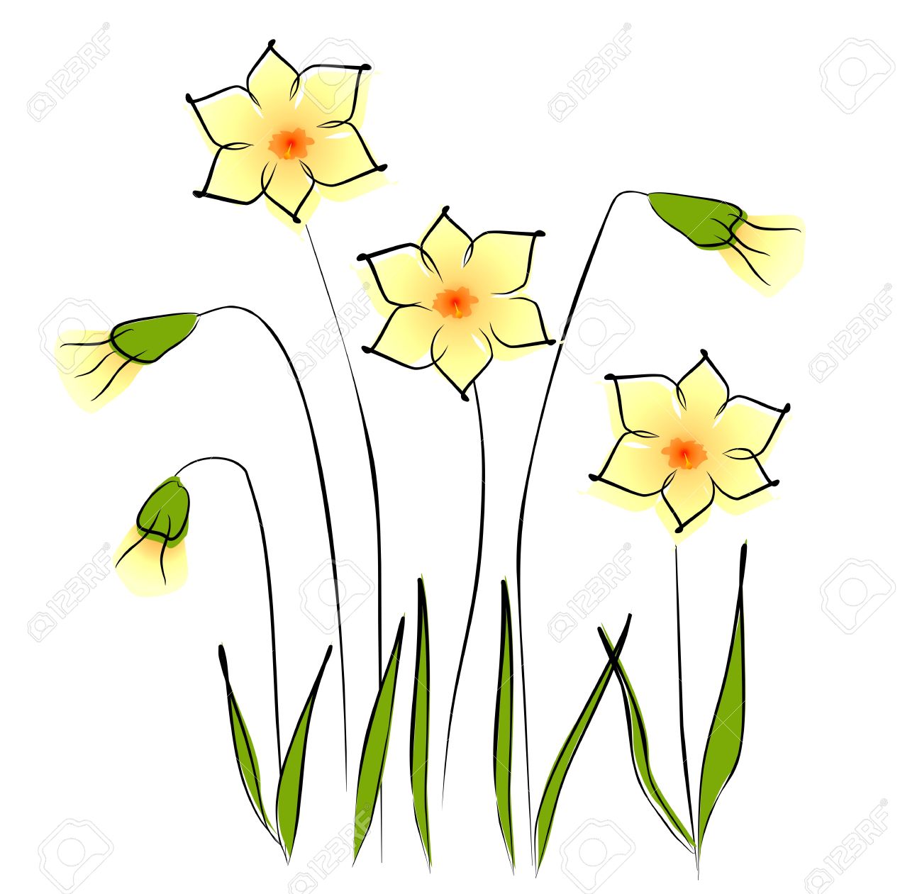 1300x1261 Daffodil Graphics