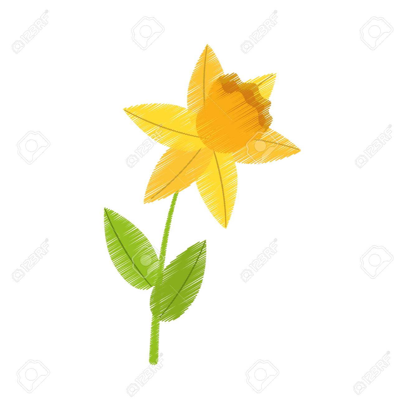 1300x1300 Drawn Daffodil Vector 4