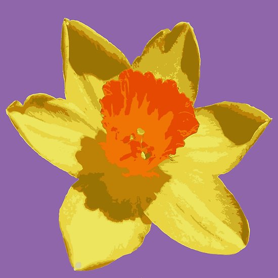 550x550 Spring Daffodil Vector Isolated Posters By Taiche Redbubble