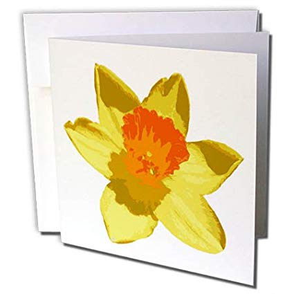 425x425 3drose Taiche