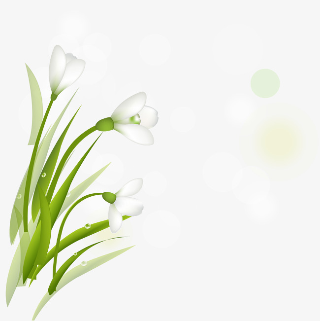 650x651 Spring New Fresh Daffodil Vector, Fresh Daffodils, Spring Vector