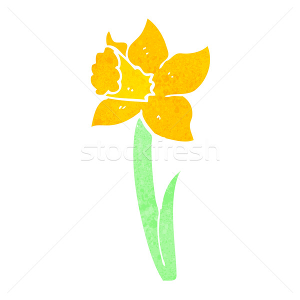 600x600 Daffodil Stock Vectors, Illustrations And Cliparts Stockfresh