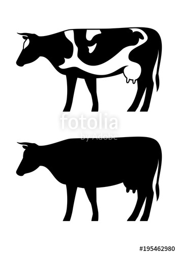 350x500 Cow Vector Silhouette Set Isolated On White Background. Cow Icon