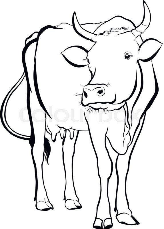 574x800 Cow. Cow Farm. Cow Animal. Cow Vector Silhouette Stock Vector