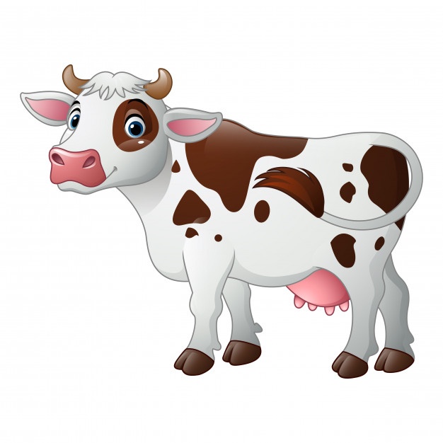 Dairy Cow Vector at GetDrawings | Free download