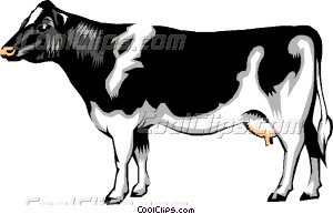 300x193 Dairy Cow Vector Clip Art