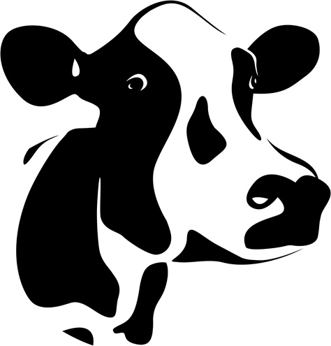 474x495 Different Dairy Cow Design Vector Graphics Free Vector In