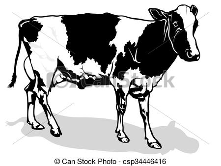 450x338 Spotted Milk Cow