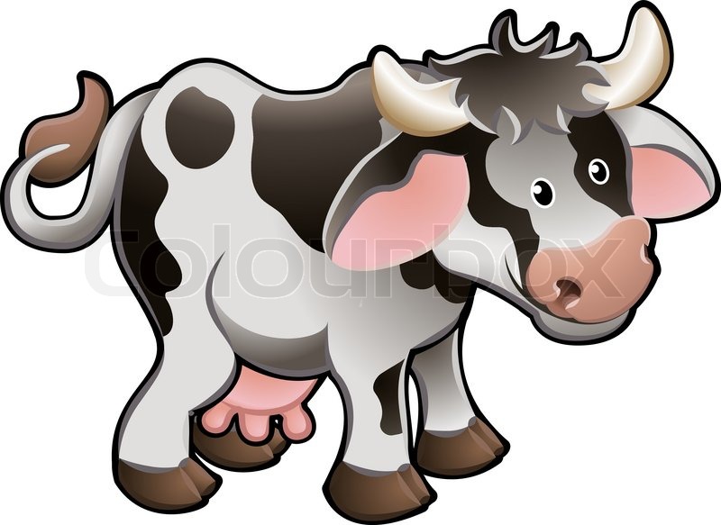 800x583 Vector Illustration Of A Cute Dairy Cow