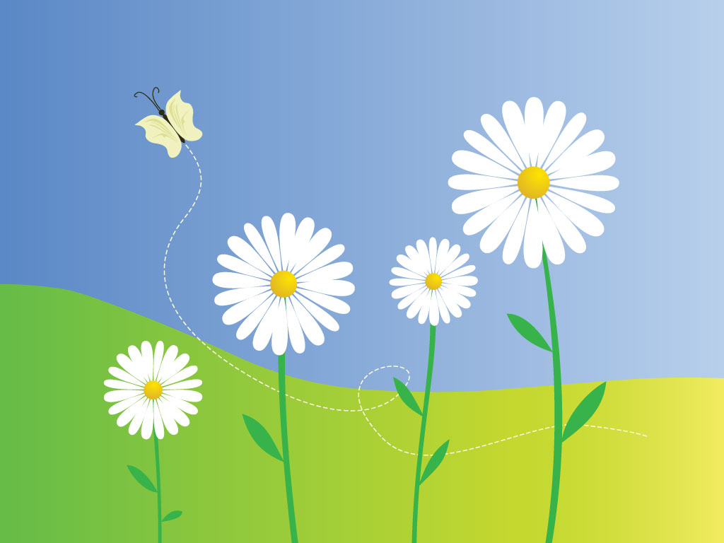 1024x768 Daisy Flowers Vector
