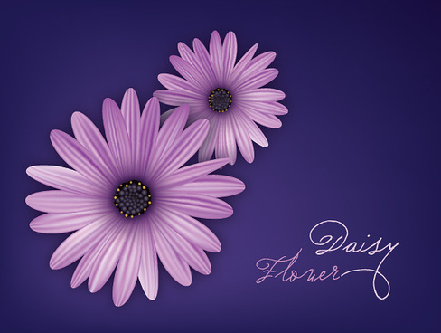 488x368 Daisy Free Vector Download (182 Free Vector) For Commercial Use