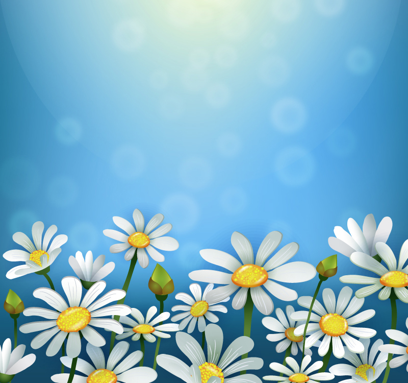 800x750 Free Vectors Download Free Vector Art Amp Free Vector Graphics