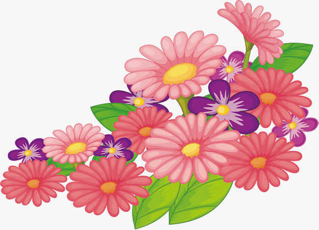 650x469 Pink Daisy Flowers, Vector Png, Flowers In Clusters, Pink Flowers