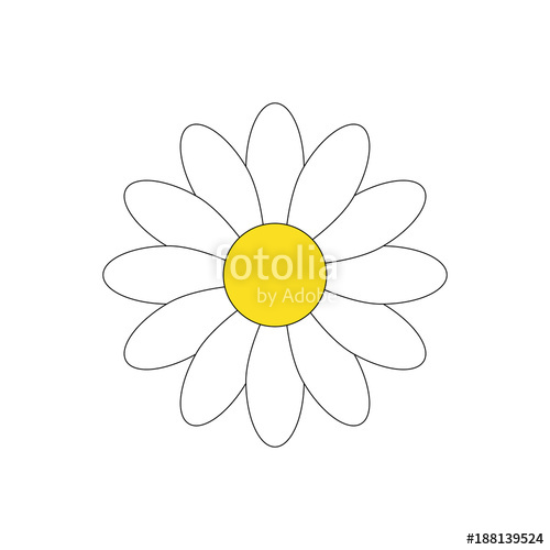 500x500 Simple White Daisy Flower Vector Illustration Graphic, Isolated On