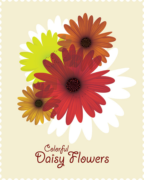 482x600 Colorful Daisy Flowers Vector Free Vector In Encapsulated
