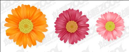 424x170 Daisy Vector Free Vector In Adobe Illustrator Ai ( .ai ) Vector